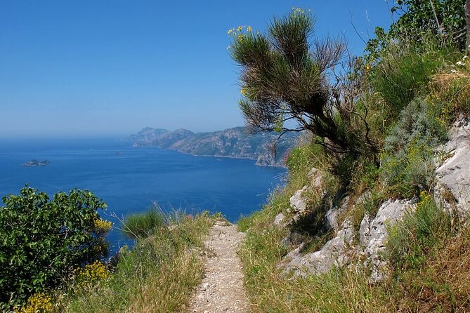 Path of the God and Positano Amalfi private tour - The Amalfi Coast Drive: Curves, Cliffs, and Photo Timing That Actually Works