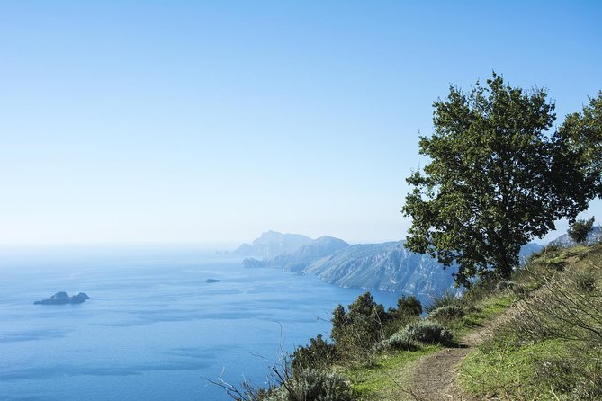 Path of the Gods Hiking Day Tour from Sorrento - Key highlights worth getting excited about