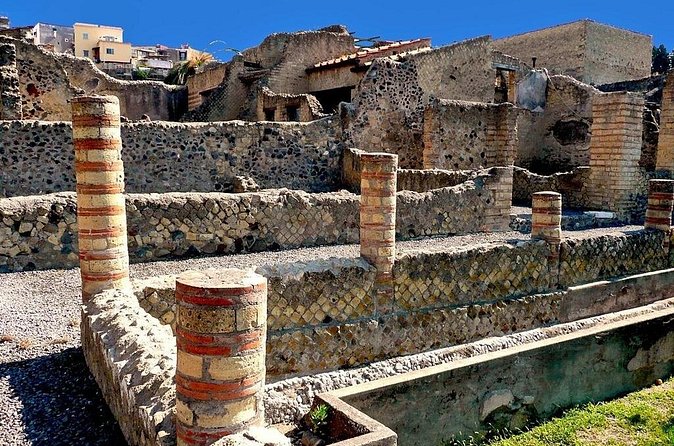 Pompeii and Herculaneum FD Tour from Sorrento - Pompeii for 2 hours: making the most of an included entry taste
