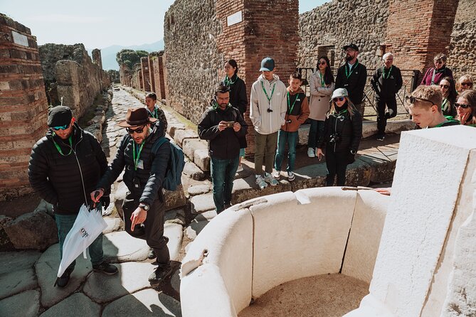 Pompeii and Herculaneum Small Group Excursion from Sorrento - Key things I’d zero in on before you book