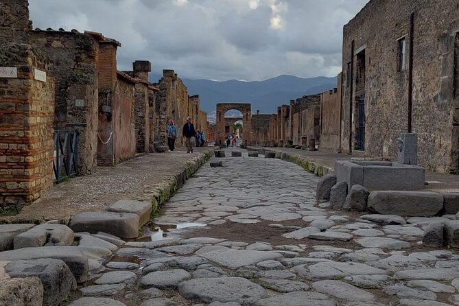 Pompeii and Herculaneum with Wine Tour - Price and Logistics: What $423.99 Buys You (and What It Doesn’t)