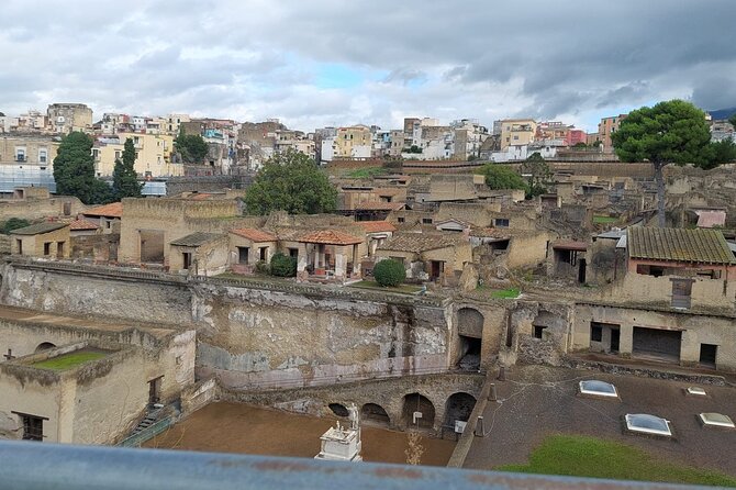 Pompeii and Herculaneum with Wine Tour - Who This Tour Suits Best