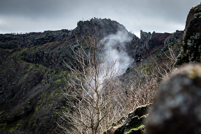 Pompeii and Vesuvius Small Group Tour from Sorrento with Pizza - Key points to know before you go