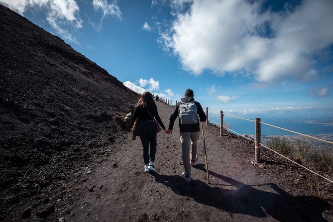 Pompeii and Vesuvius Small Group Tour from Sorrento with Pizza - Group size, communication, and the day-trip reality check