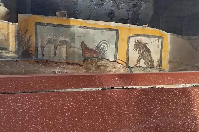 Pompeii Herculaneum - Private transport that feels personal: punctual drivers and clean cars