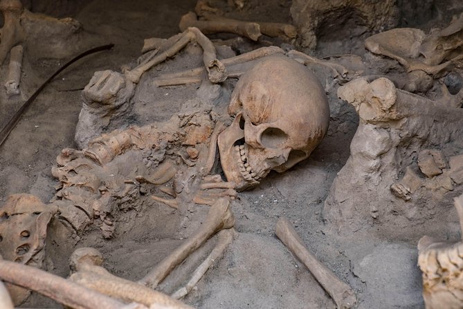 Pompeii, Herculaneum and Winery on Vesuvius with an Archaeologist - Price and value: what $861 per group really covers