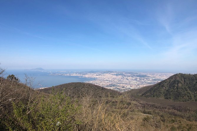 Pompeii, Herculaneum & Mt. Vesuvius Guided Tour from Sorrento - Why private guidance here is worth it (not just a luxury)