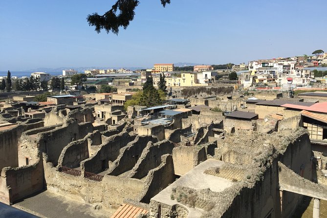Pompeii-Herculaneum-Wine tour from Sorrento, with licensed guide included - Herculaneum at Parc o Acheologico di Ercolano: mud, lava, and a different kind of tragedy