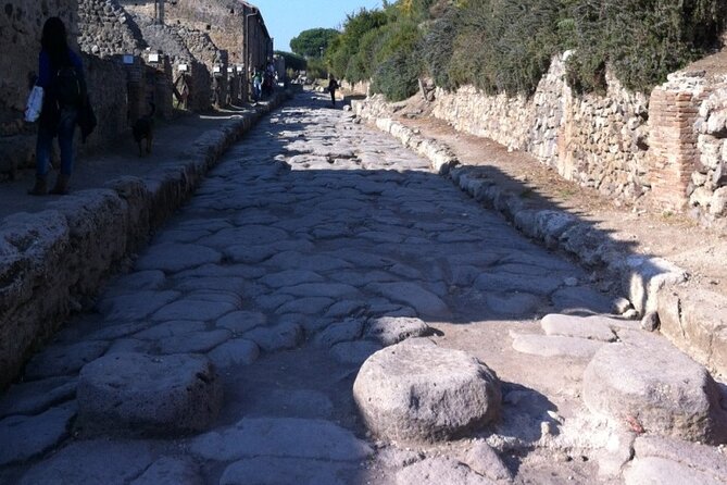 Pompeii, Herculaneum & Wine Tour, with Licensed Guide included - Driver quality and the private-tour feel that reduces stress