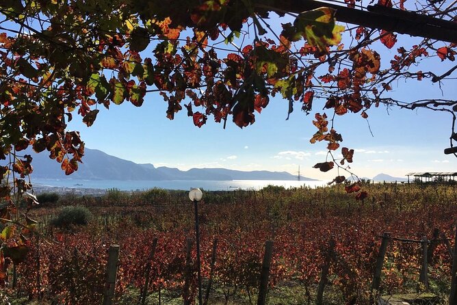 Pompeii, Mt Vesuvius and Wine Tour - Getting there and timing: pickup from Naples, Sorrento, or Positano
