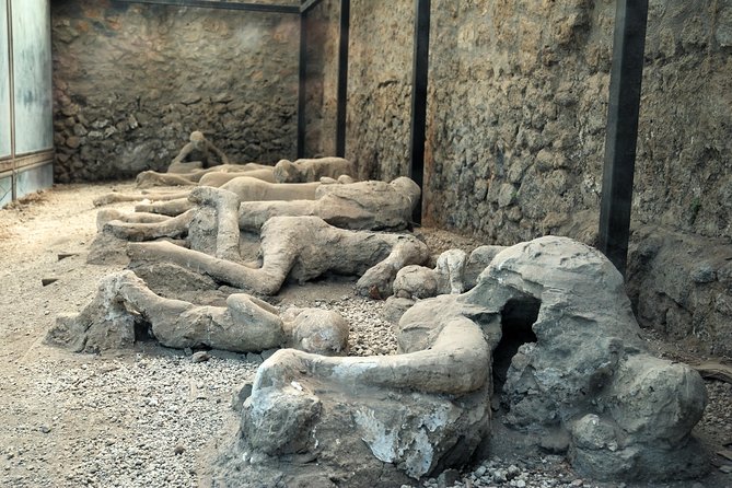 Pompeii, Mt. Vesuvius, Herculaneum Private Tour - Why Private Pickup in Sorrento or Naples Matters