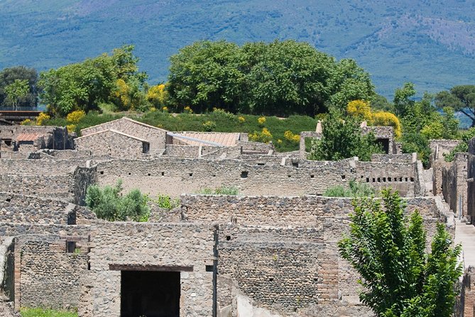 Pompeii Ruins Half-Day Tour from Sorrento with Guide - Who should book this Pompeii half-day from Sorrento?