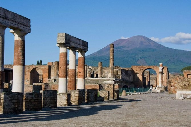 Pompeii Ruins & Wine Tasting with Lunch on Vesuvius with Private Transfer - Pompeii ruins with real time to wander