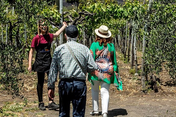 Pompeii Ruins & Wine Tasting with Lunch on Vesuvius with Private Transfer - Logistics you’ll actually feel: time, tickets, and expectations