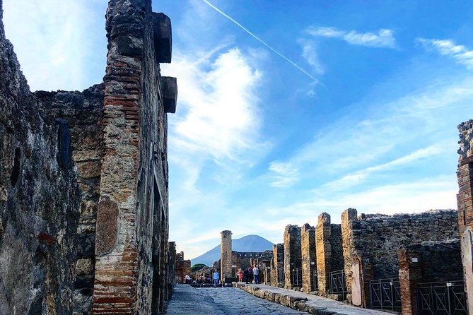 Pompeii & Vesuvius with Wine Tasting from the Coast - From Sorrento to Pompeii: early pickup that saves your day