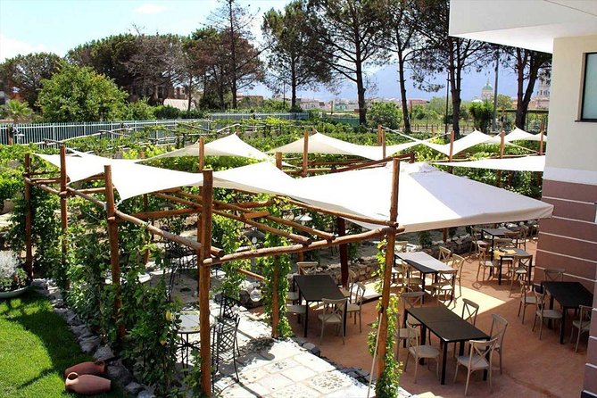 Pompeii & Vesuvius with Wine Tasting from the Coast - Should you book it?