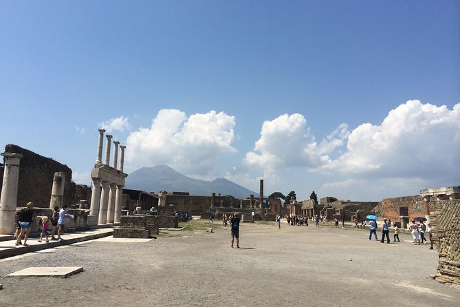 Pompeii-Wine tasting tour from Sorrento, licensed guide included - Why this day trip works so well from Sorrento