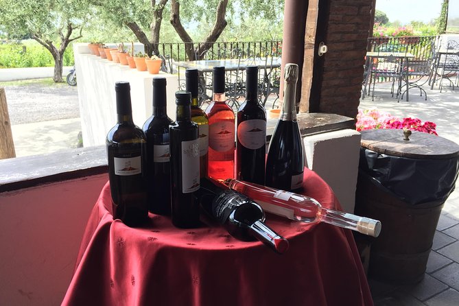 Pompeii-Wine tasting tour from Sorrento, licensed guide included - Pompeii in 2 hours with a licensed English guide