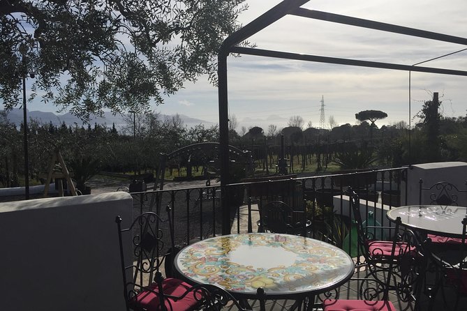 Pompeii-Wine tasting tour from Sorrento, licensed guide included - TicketOne timing, 9:00 AM rules, and first-Sunday free entry