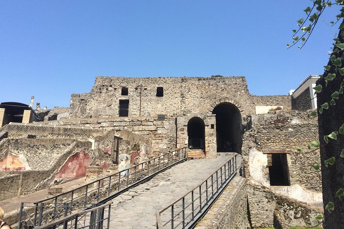 Pompeii-Wine tasting tour from Sorrento, licensed guide included - Cantina del Vesuvio lunch: Bay views and Lacryma Christi tasting