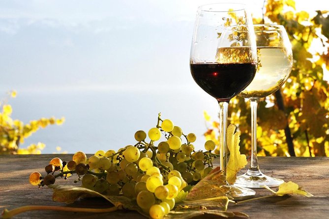 Pompeii & Wine Tour from Sorrento (tickets & lunch not included) - Pompeii time: what you can realistically expect in about 2 hours
