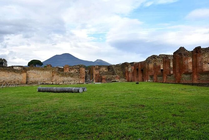 Pompeii & Wine Tour from Sorrento (tickets & lunch not included) - Price and value: what $357.42 covers, and what you should budget for