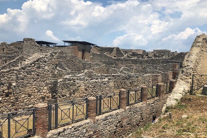 Private Full Day Tour Ruins of Pompei and Wine Tasting Experience - Price and what you still pay for