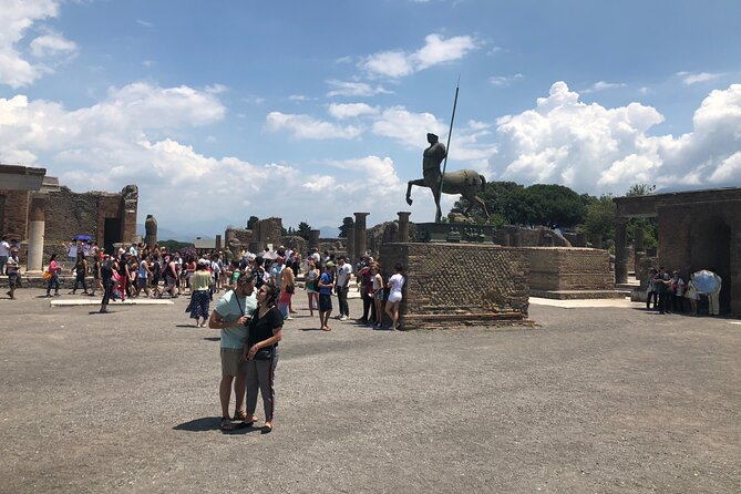 Private Full Day Tour Ruins of Pompei and Wine Tasting Experience - Should you book this Pompeii and wine tour?