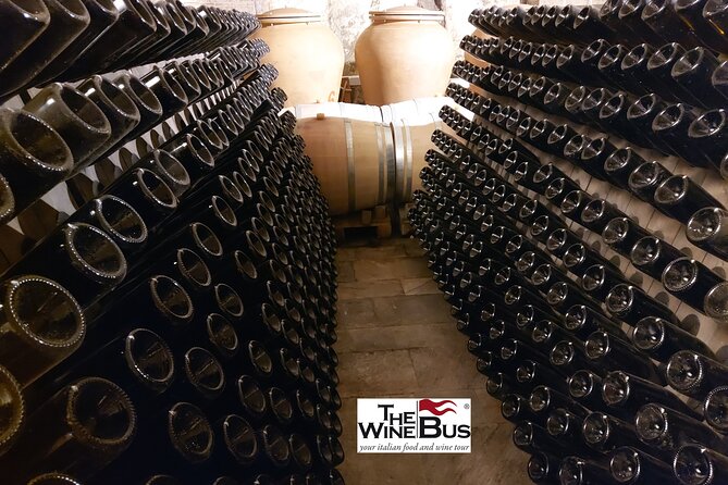 Private Irpinia Wine Tour from Sorrento with sommelier - Customization and special requests: where this tour can feel extra personal