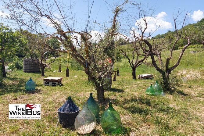 Private Irpinia Wine Tour from Sorrento with sommelier - First winery stop: Cantine Antonio Caggiano and those tunnel tastings