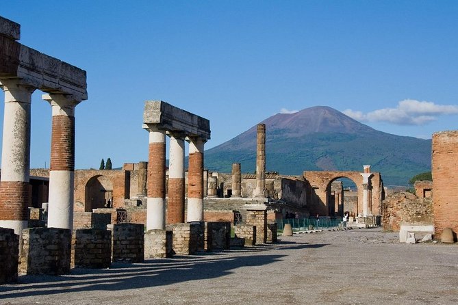 Private Pompeii and Herculaneum Day Tour with Pick Up - Sorrento Pickup Keeps Your Day From Turning Into a Scramble