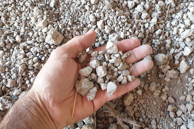 Private Pompeii Tour with Archaeologist & Winery on Mt Vesuvius - Newer Angles: Insula dei Casti Amanti and Teatro Grande