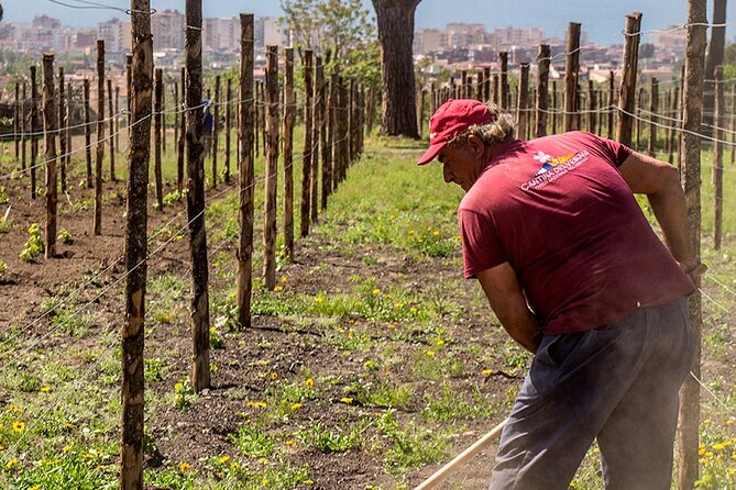 Private Pompeii Tour with Wine Tasting Experience - Who this tour fits best (and who should skip it)