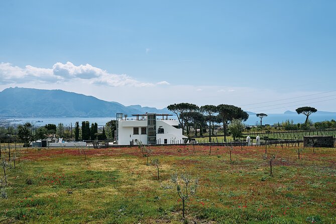 Private Pompeii Tour with Wine Tasting Experience - Should you book this tour or not?