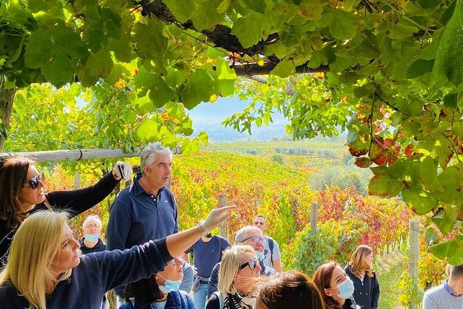 Private Tour in Pompeii Ruins and Pompeii City Center Winery - Who this tour suits best (and who should think twice)
