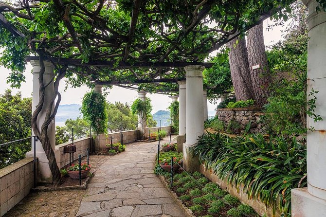Private Tour of Capri and Anacapri From Sorrento - Augustus Gardens: Garden Guide + Admission Included
