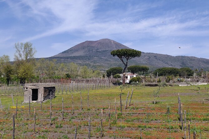 Private Tour Pompeii, Vesuvius and Herculaneum - Herculaneum (Parco Acheologico di Ercolano): why the smaller site hits harder