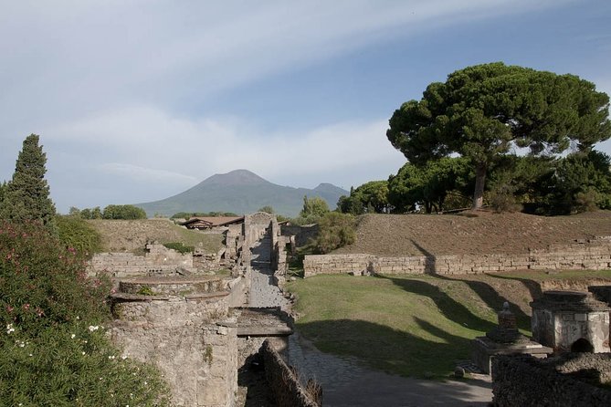 Private tour Pompeii Vesuvius and Winery from Sorrento - Why private Pompeii + Vesuvius from Sorrento feels different