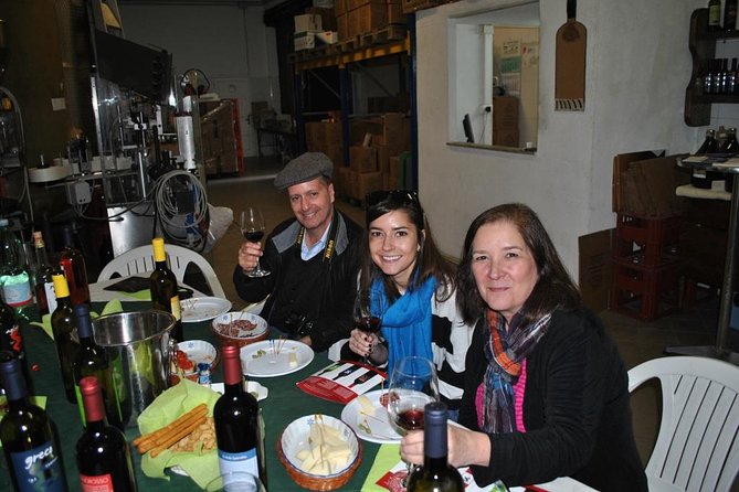 Private tour Pompeii Vesuvius and Winery from Sorrento - Walking up to Vesuvius crater rim in about 90 minutes