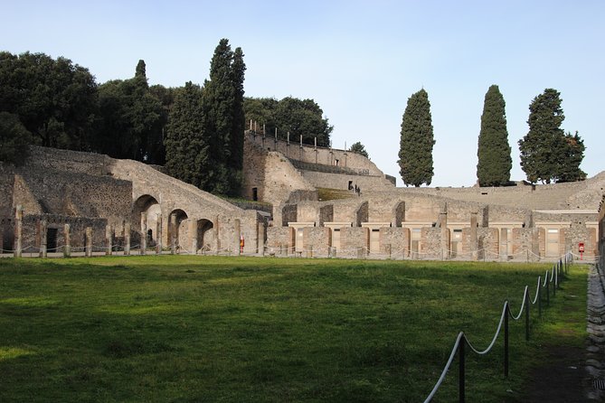 Private tour Pompeii Vesuvius and Winery from Sorrento - Who should choose this tour, and who might want a different plan