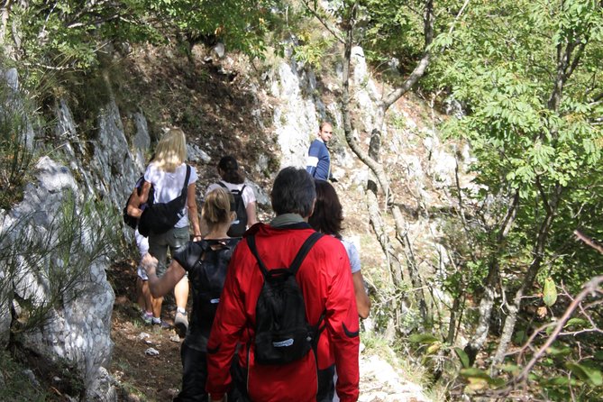 Private Tour: Truffle-Hunting Experience from Sorrento with Lunch - The truffle hunter and dogs: how the search works in plain terms