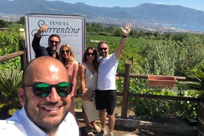 Private Transfer from Naples to Sorrento or Vice Versa - Sorrento vs Naples Drop-Off: How “Door to Door” Really Works