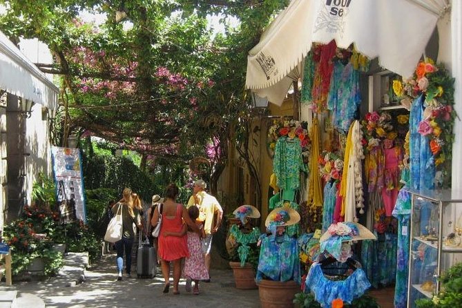 Shared Amalfi Coast by Minivan 8 pax Land Tour from Sorrento - Lunch not included: how to avoid the most common disappointment