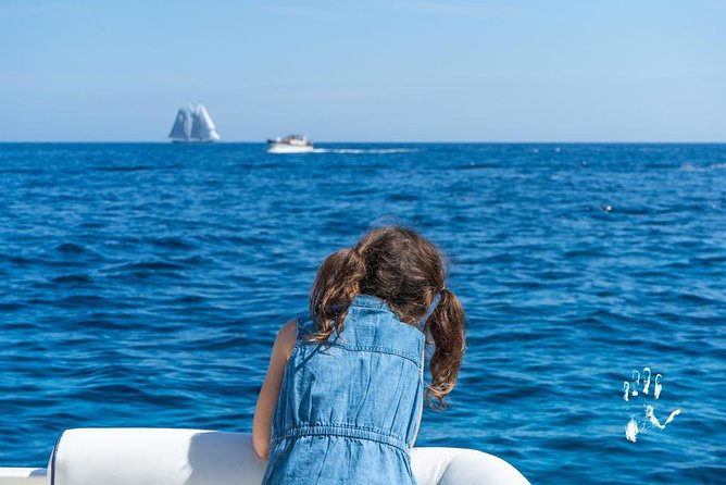 Shared Boat Excursion to Capri from Sorrento - Morning Check-In at Porto di Sorrento and the First Coast Views