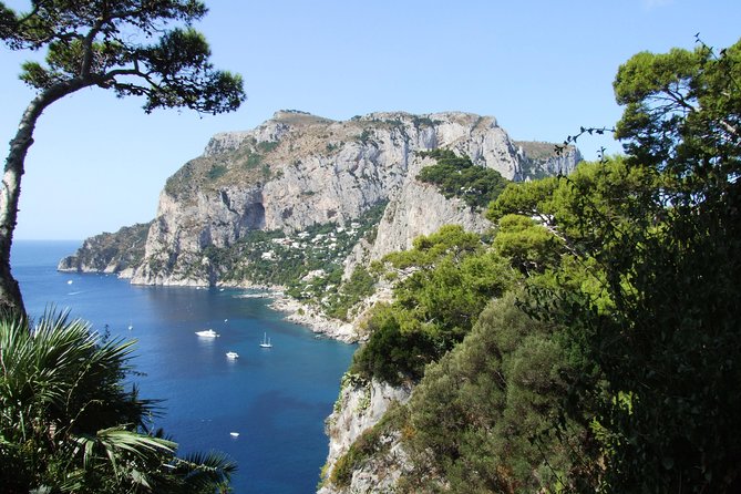 Shared Capri & Anacapri Full-Day Tour from Sorrento - Faraglioni From the Bay Area: Why Sea Views Beat Staring at Maps