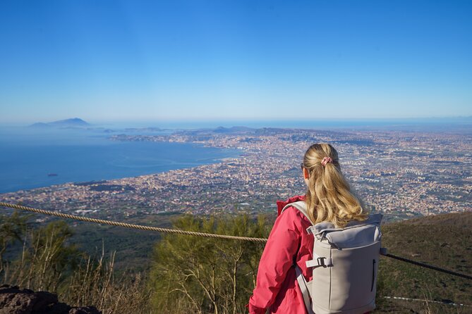 Skip the line Pompeii and Vesuvius full day tour from Sorrento - Pompeii Meets Vesuvius: What This 8-Hour Day Is Really Like