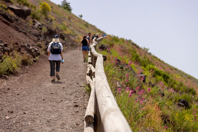 Skip the line Pompeii and Vesuvius full day tour from Sorrento - Basilica and Forum: The Center of Daily Life