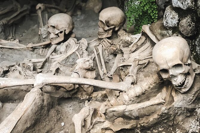 Skip the line Ticket Herculaneum Guided Tour 4 hrs - From Sorrento to Herculaneum: A 4-Hour Plan That Actually Fits