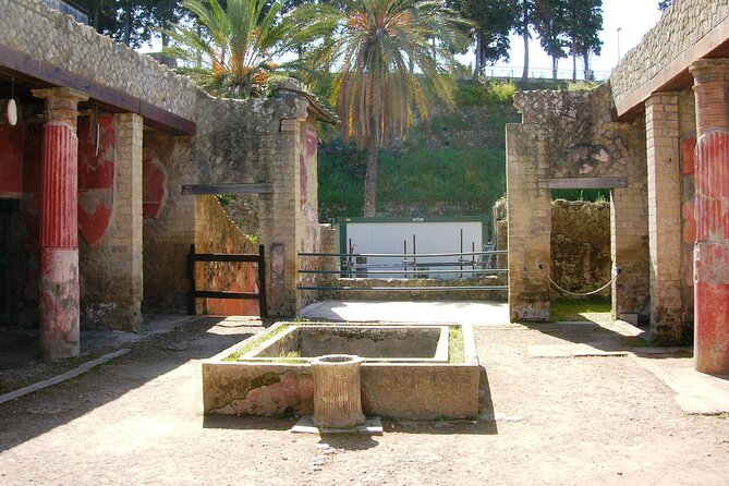Skip the line Ticket Herculaneum Guided Tour 4 hrs - Casa dei Cervi and Casa del Salone Nero: Big Names for House Details