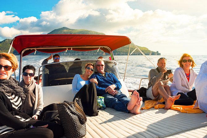 Small Group Boat Tour: Day Cruise from Sorrento to Capri - Snapping photos, sipping drinks, and what’s covered